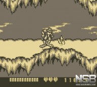 Battletoads [Game Boy]