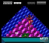 Battletoads [NES]