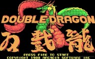 Double Dragon [PC]