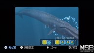Endless Ocean 2: Adventures of the Deep [Wii]