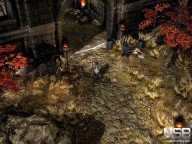 Grim Dawn [PC]