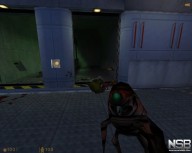 Half-Life [PC]
