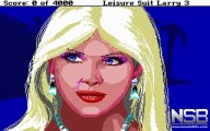 Leisure Suit Larry III: Passionate Patti in Pursuit of the Pulsating Pectorals [PC]