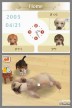 Nintendogs: Dálmata y Compañía [DS]