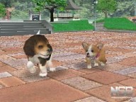 Nintendogs: Dálmata y Compañía [DS]