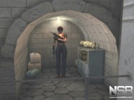 Resident Evil Code: Veronica X [GameCube][PlayStation 2]