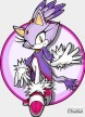 Sonic Rush [DS]