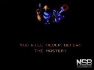Strider [Master System]