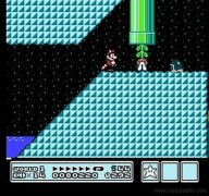 Super Mario Bros. 3 [NES]