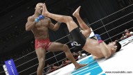 UFC Undisputed 3 [PlayStation 3][Xbox 360]
