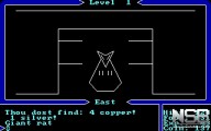 Ultima I: The First Age of Darkness [PC]