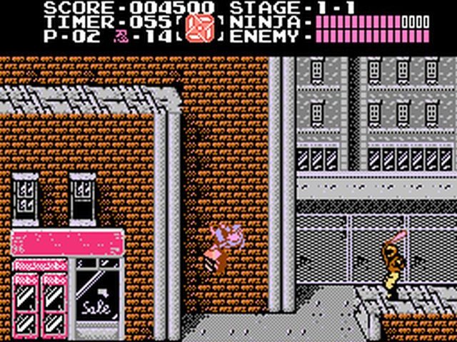 Retro Review de Ninja Gaiden 11