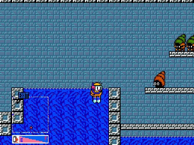 Retro Review de The NewZealand Story 11