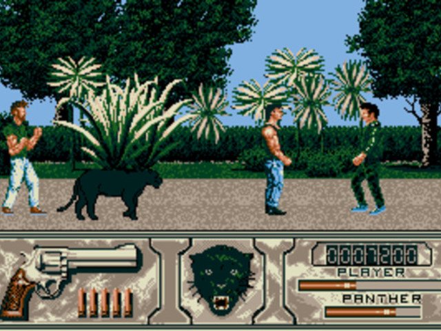 Retro Review de Wild Streets 3