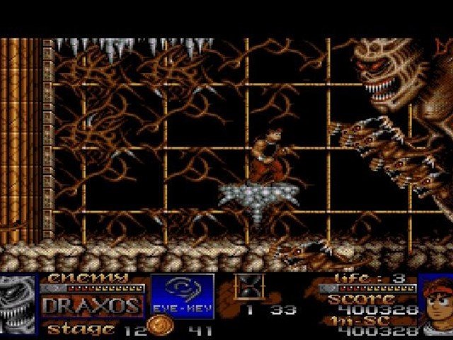 Retro Review Risky Woods 8